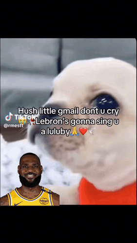 Lebron Pibble GIF