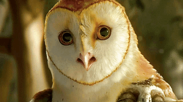 Legend Guardians GIF
