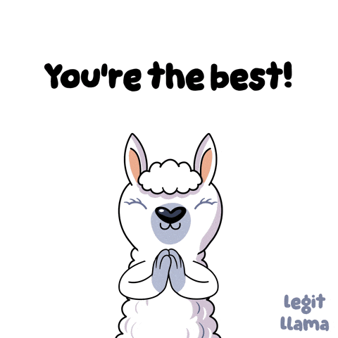 Legit Llama GIF