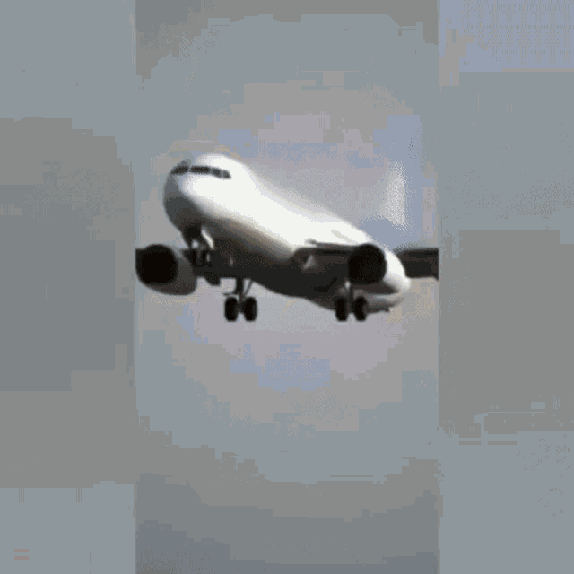 Legs Landing GIF