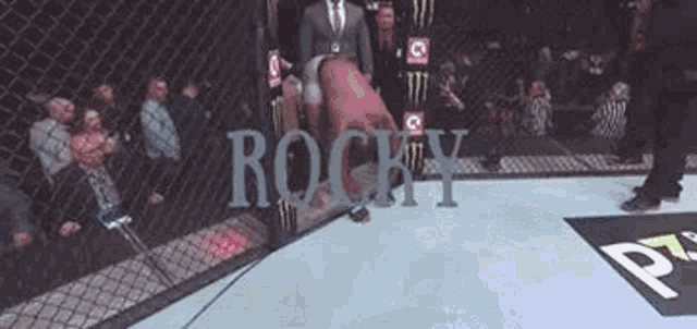 Leon Edwards Rocky GIF