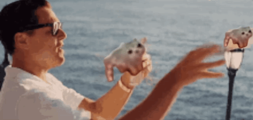 Leonardo Dicaprio Low Quality Cat GIF. This 498 x 237 animated GIF is part of our leonardo dicaprio wolf of wall street collection. Created by LaPine. View…