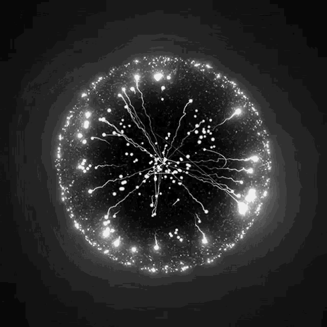 Lepo Circle GIF