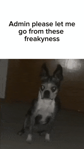 Let Me Go Scary GIF