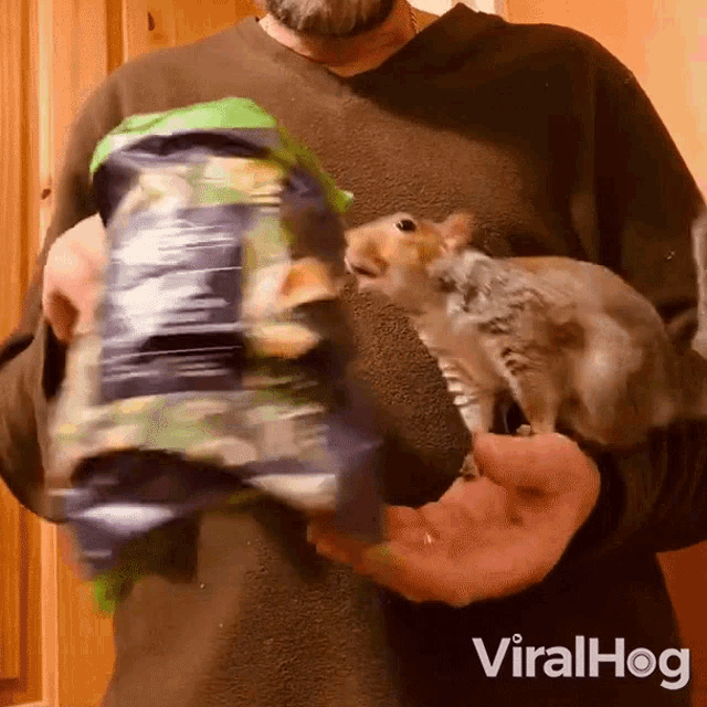 Let Me Take This Viralhog GIF