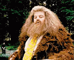 Let Me Think GIF. This 244 x 200 animated GIF is part of our hagrid collection. Related themes include harry potter. View the original animation, share it…