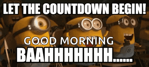 Let The Countdown Begin Baahhhhhhh GIF