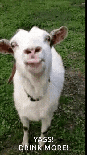 Let Them GIF