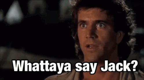 Lethal Weapon Mel Gibson GIF