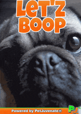 Lets Boop Boop Me GIF