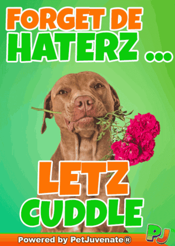 Lets Cu Forget The Haters GIF
