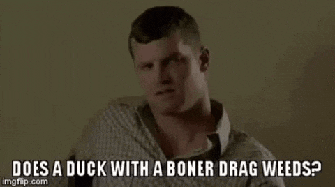 Letter Kenny GIF