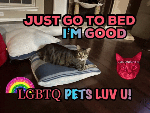 Lgbtq Pets Pet Kitty Cat Luvs U Funny Cats GIF
