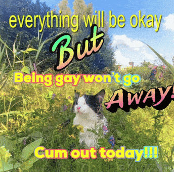 Lgbtq Pets GIF
