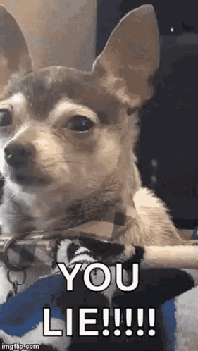 Liar GIF
