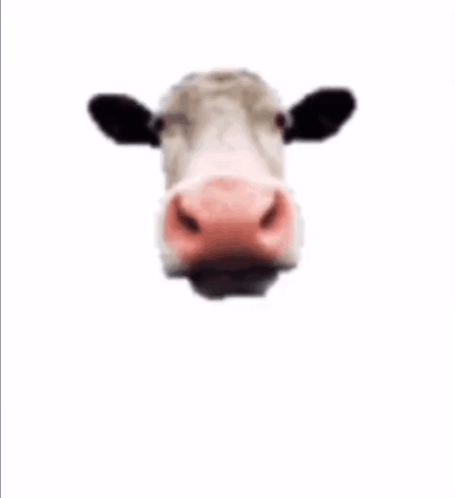 Lick Kiss GIF