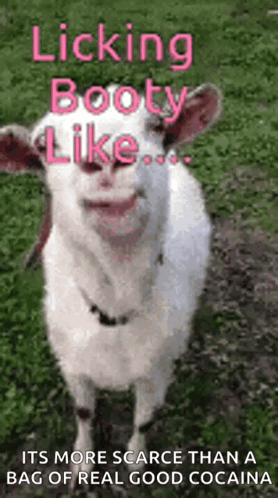 Lick Licking GIF