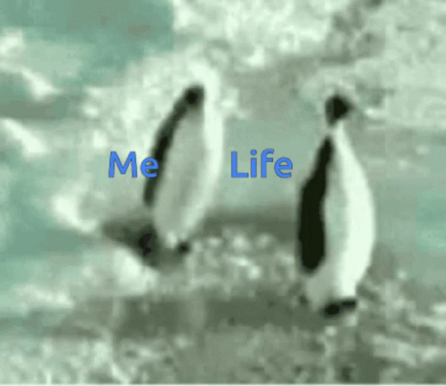 Life GIF