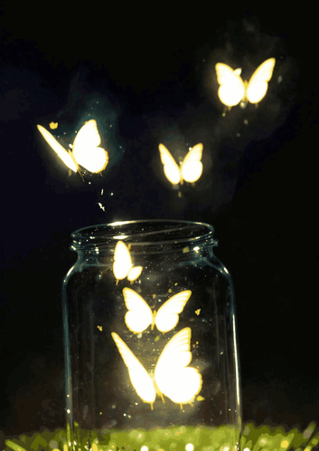 Light GIF. This 353 x 498 animated GIF is part of our butterfly collection. Created by speakingup46. View the original animation, share it, or browse…