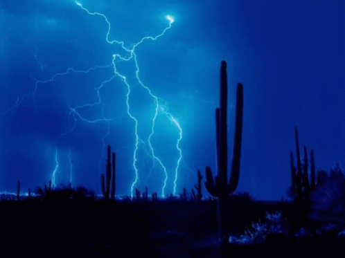 Lightning Night GIF