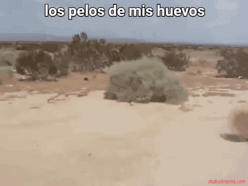 Ligoleyennashe GIF