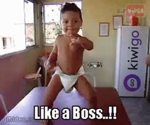 Like A Boss Kiwigo GIF