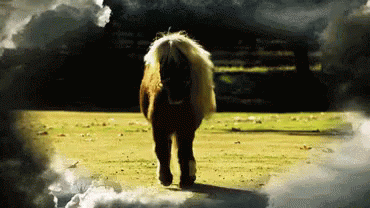 Lil Sebastian Little Sebastian GIF. This 370 x 208 animated GIF is part of our lil sebastian collection. Related themes include parks and recreation. View…