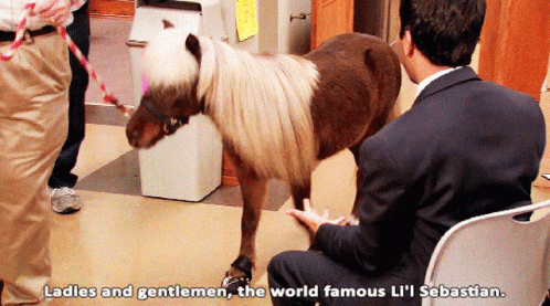 Lil Sebastian GIF. This 498 x 277 animated GIF is part of our lil sebastian collection. Created by rocketjessy. View the original animation, share it, or…
