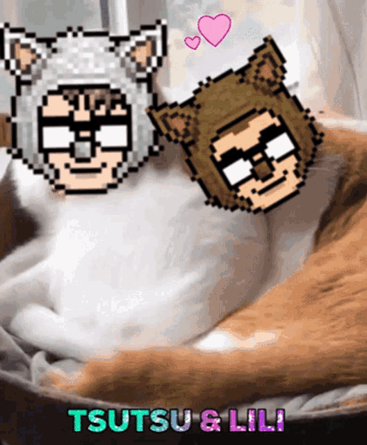 Liliberlu Mctsuna GIF