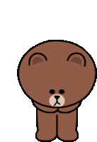 Line Friends Brown Bear Sticker