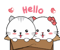 Line Sticker Cat Sticker Sticker