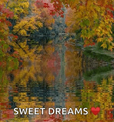 Linville River River GIF. This 464 x 498 animated GIF is part of our folhas de outono caindo collection. Related themes include autumn, fall, nature…