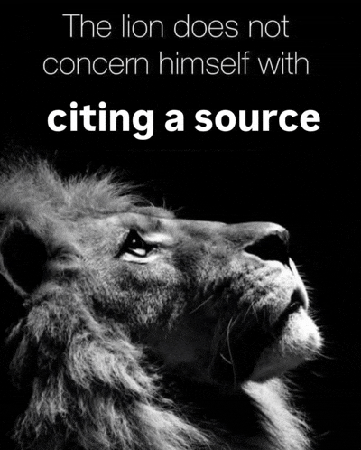 Lion Concern Meme