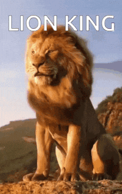 Lion King GIF