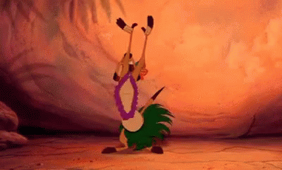 Lion King Timon GIF