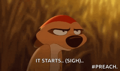Lion King Timon GIF