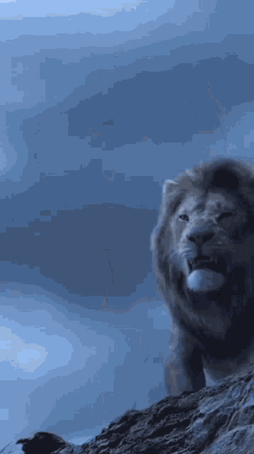 Lion Roaring GIF