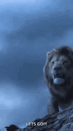 Lion Roaring GIF