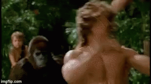 Lion Vs George Of The Jungle Fight GIF