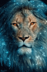 Lion GIF