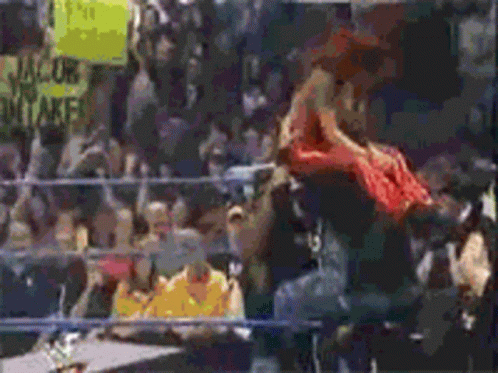 Lita Dudley Wrestler GIF