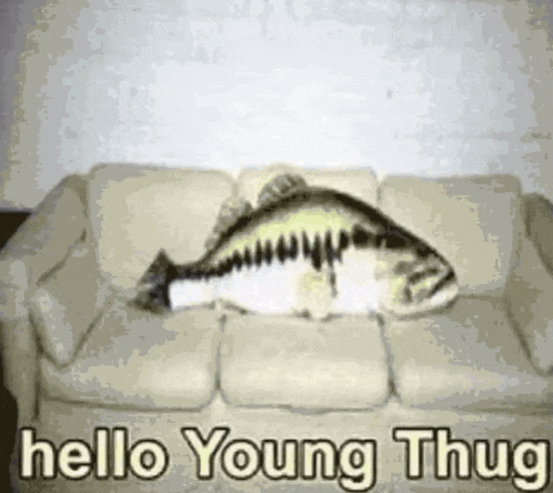Literallydrone Meme GIF