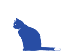 Lito Miel Gato Azul Sticker