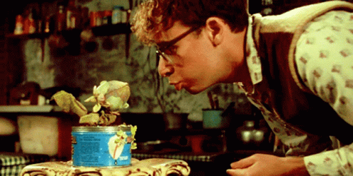 Little Shop GIF