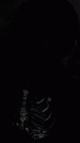 Littlebigtd Lbtd GIF