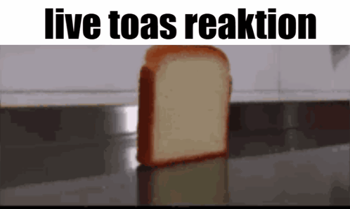 Live Toas Reaktion Toast Dies GIF