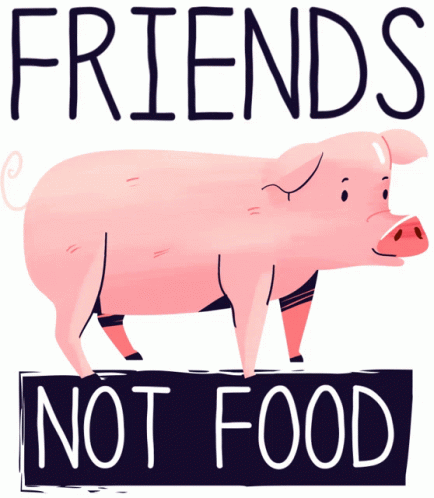 Livekindly Vexquisitstudio GIF. This 434 x 498 animated GIF is part of our fish are friends not food collection. Created by livekindly. View the original…