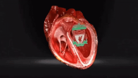 Liverpool Heartbeat GIF