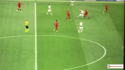 Liverpool Streaker GIF