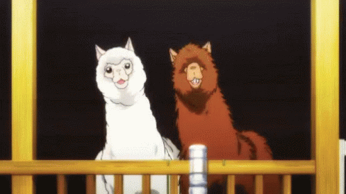 Llama Alpaca GIF. This 498 x 280 animated GIF is part of our lhama cuspindo collection. Created by MelissaCalamita. View the original animation, share it…